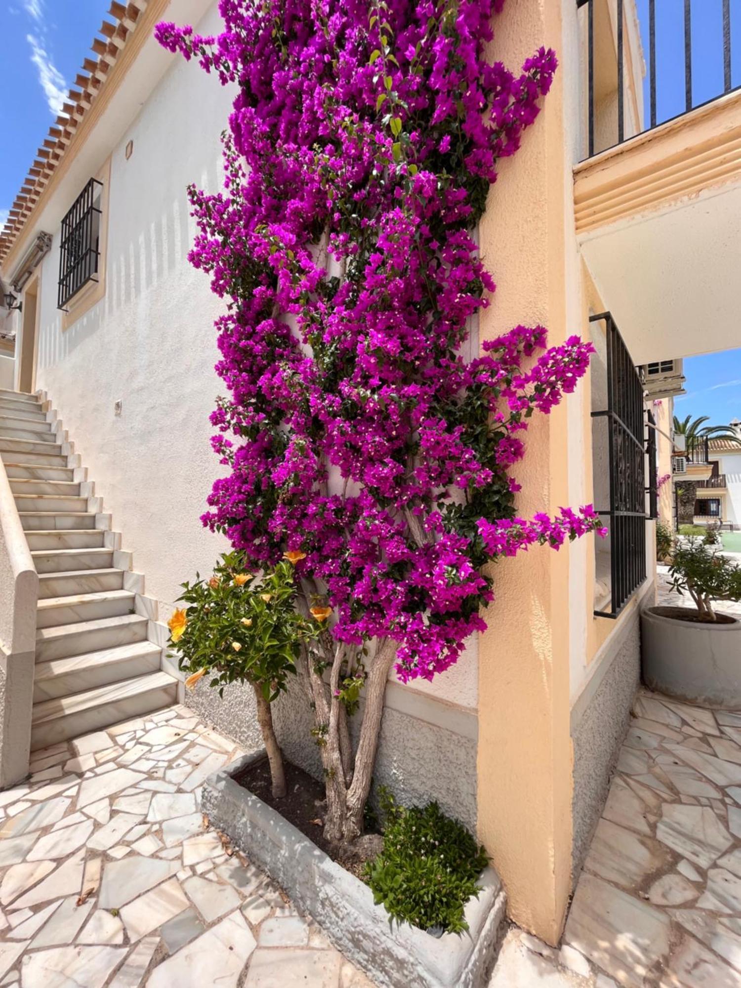 Apartamento Esquina Verde En Vera Coast Playas de Vera Экстерьер фото