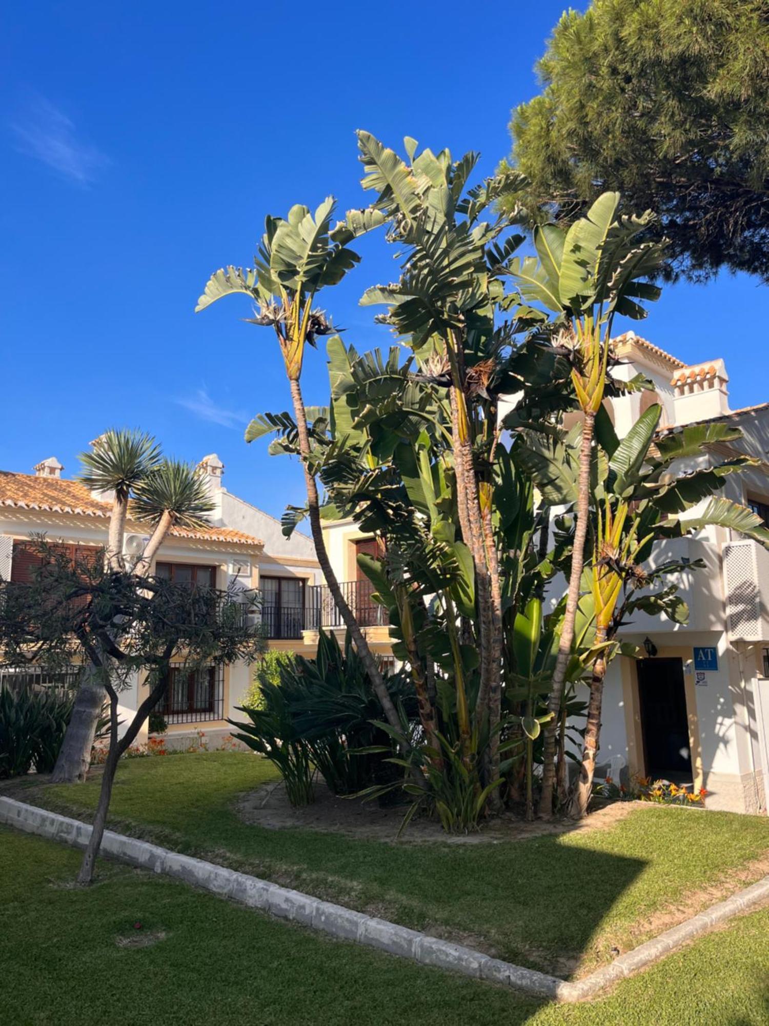 Apartamento Esquina Verde En Vera Coast Playas de Vera Экстерьер фото