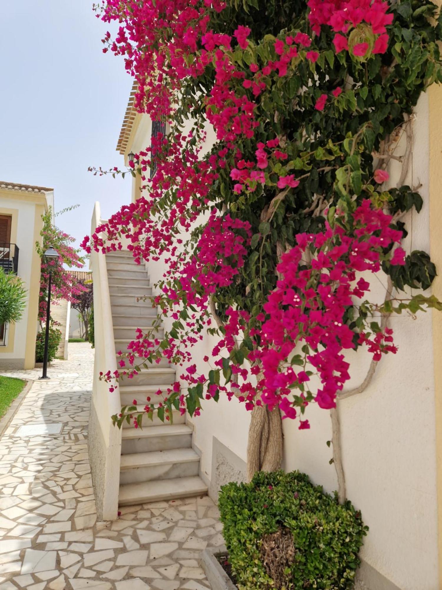 Apartamento Esquina Verde En Vera Coast Playas de Vera Экстерьер фото