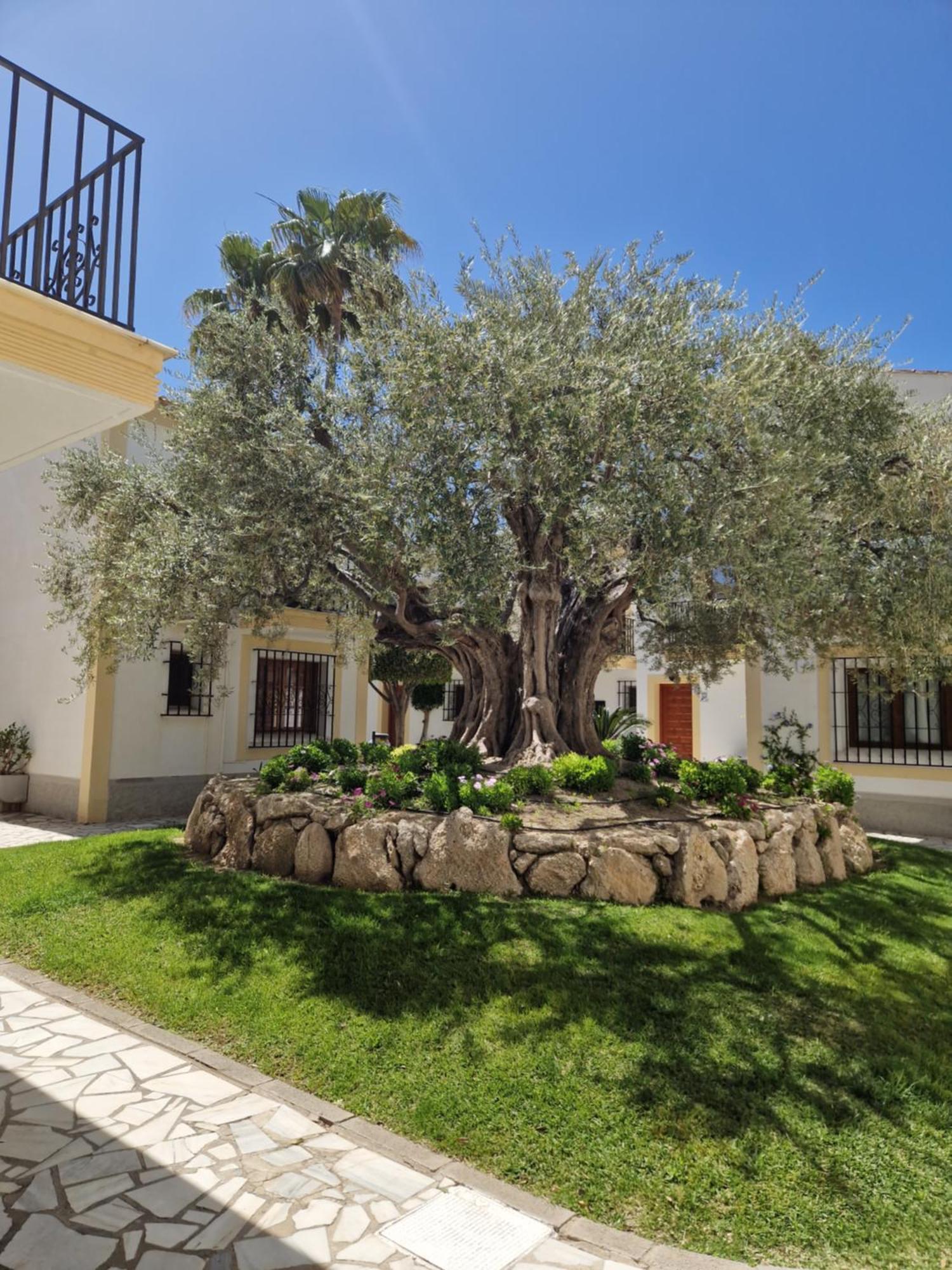 Apartamento Esquina Verde En Vera Coast Playas de Vera Экстерьер фото