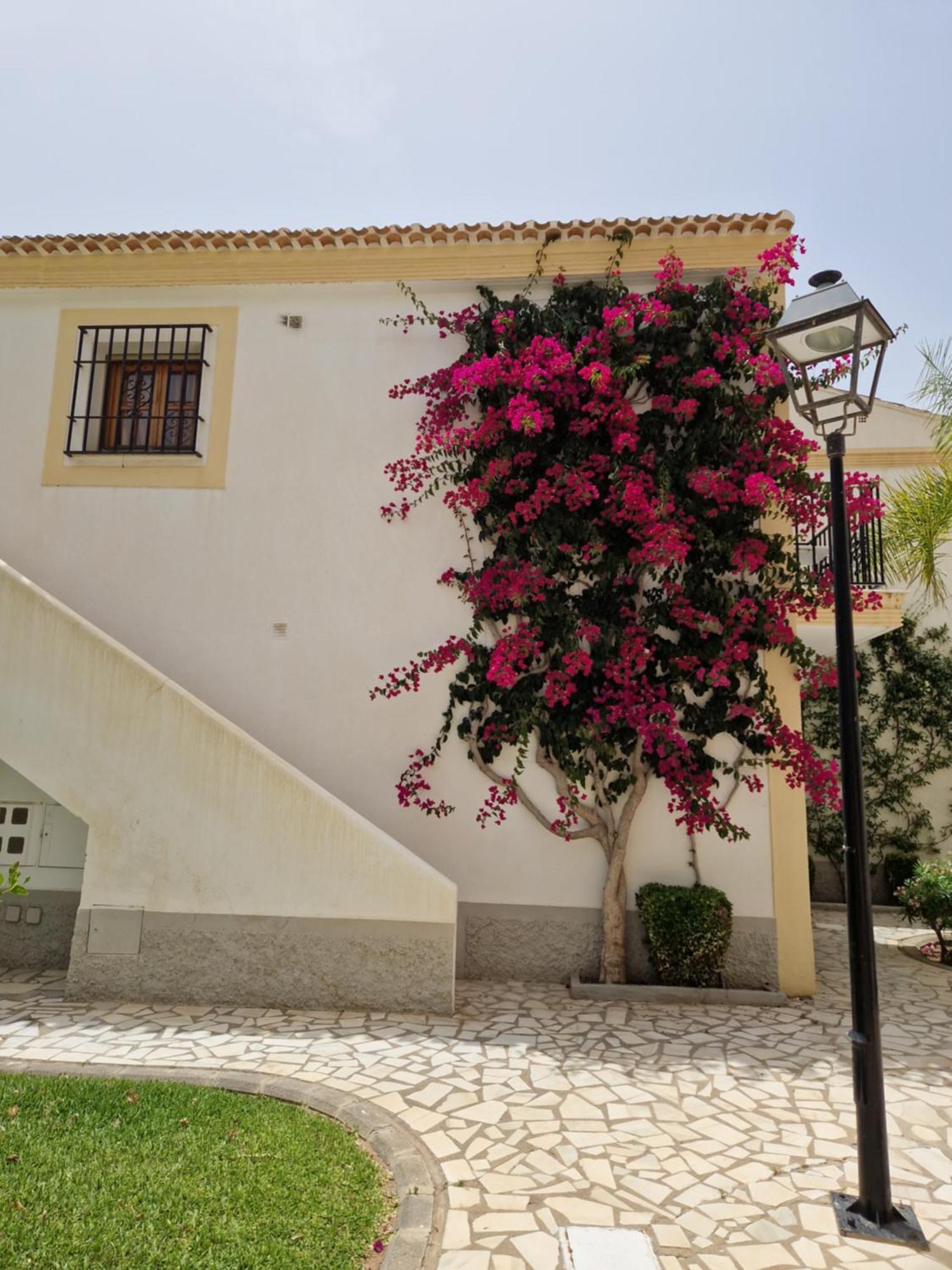 Apartamento Esquina Verde En Vera Coast Playas de Vera Экстерьер фото